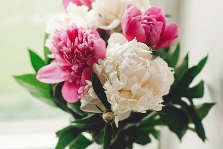 美丽的粉红色和白色牡丹花束在质朴的旧木窗花卉装饰和布置采花乡村静物图片