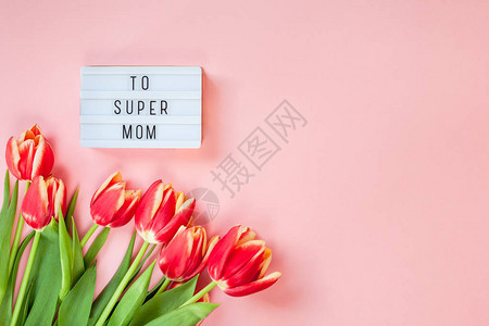 创意平躺顶视图母亲节贺卡与红色郁金香春天的花朵在粉红色的背景庆图片