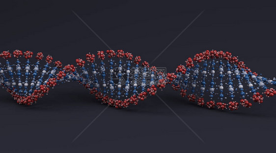 DNA螺旋的图片