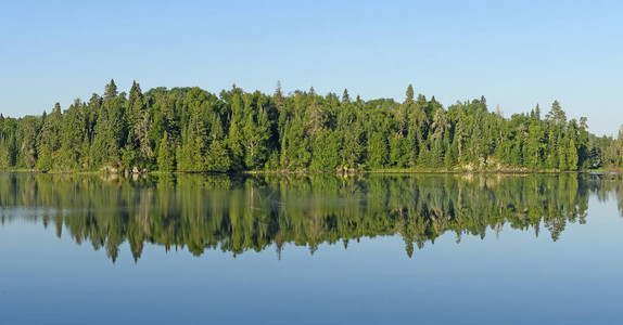 安大略省克蒂科省公园萨加纳贡斯湖北木林松图片