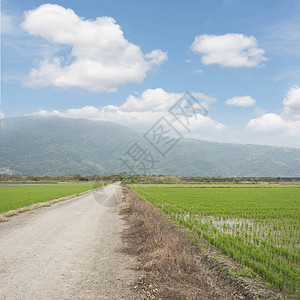 农场道路的乡村景观图片
