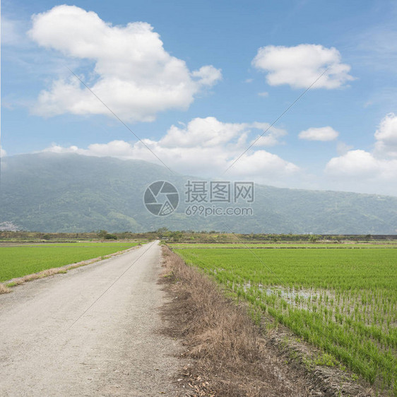 农场道路的乡村景观图片