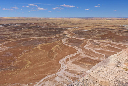 亚利桑那州被石化森林公园的荒地图片