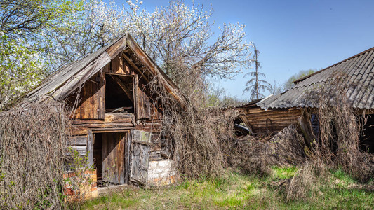 在白俄罗斯切尔诺贝利禁区被弃置的小房子背景图片