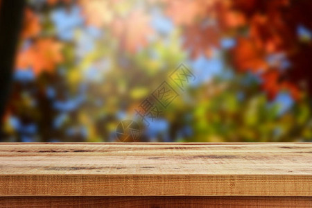 木桌和模糊的秋天森林背景背景图片