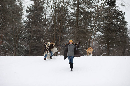 美丽的女孩在一个美丽的冬季公园散图片