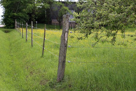 电栅栏门保护绿草牧场图片