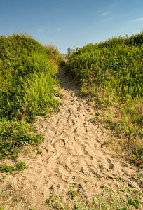 穿过沙丘的路径两边图片