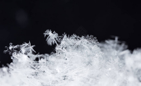 雪上的雪花图片是在8C背景图片