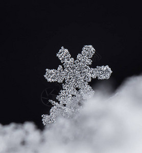 雪上的雪花图片是在8C背景图片