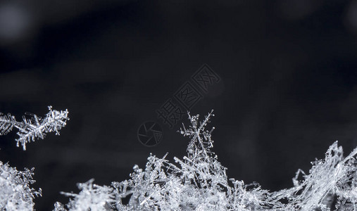 雪上的雪花图片是在8C背景图片