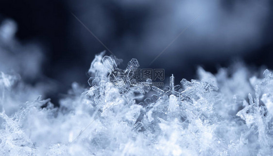 雪上的雪花图片是在8C图片