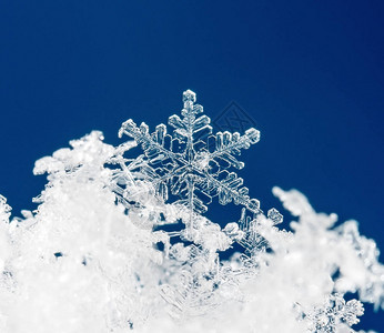 雪上的雪花图片是在8C背景图片