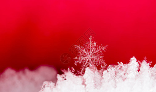 雪上的雪花图片是在8C背景图片