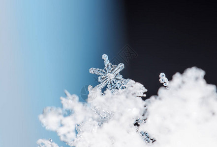 雪上的雪花图片是在8C背景图片