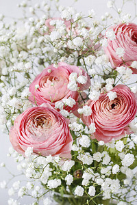 粉红圆形花朵和微小的白色吉卜赛人惊图片