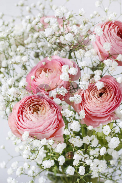 粉红圆形花朵和微小的白色吉卜赛人惊图片