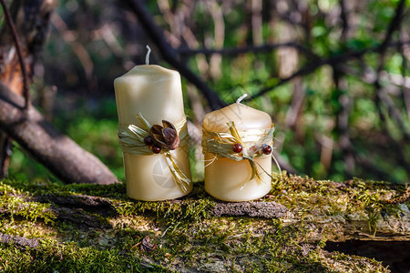 森林里一根旧木头上的两支蜡烛图片