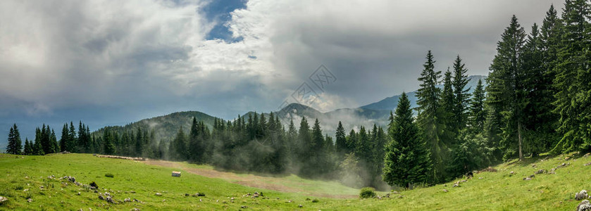 蓝色天空松树和薄雾的山景美丽的风景图片