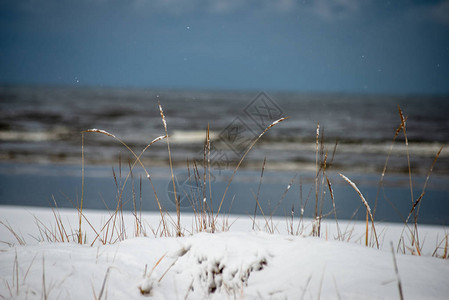 严寒的冬天海边滩图片