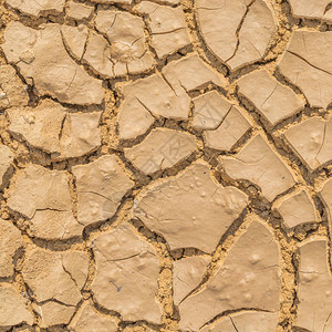 土壤干旱破裂纹理图片