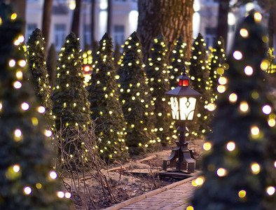 圣诞树小巷的小巷装饰着光亮图片