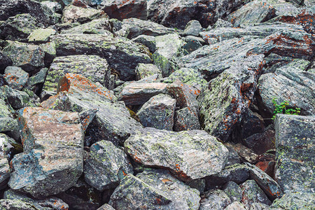 多彩姿的巨石流松散的岩石关闭随机散落的石头中的植物高地巨石与苔藓和地衣的惊人详细背景山地图片