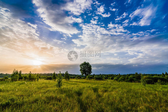 美丽的晨夏景观图片