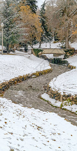 盐湖城冬季风景秀丽白雪皑的公园里图片