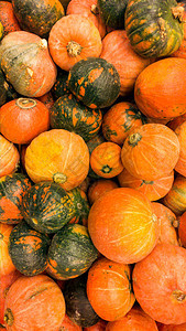 橙色南瓜在可耕种的蔬菜中的近距离图像关闭纹理或新鲜成熟蔬菜的模式美图片