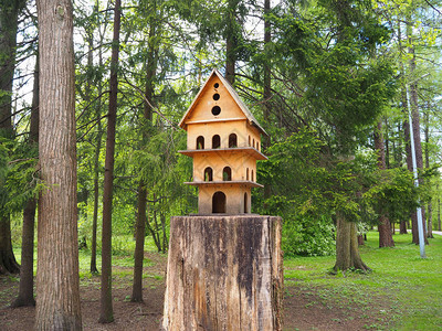 树桩上的多层木制雕小鸟屋公图片