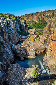 非洲Mpumalanga的Blyde峡谷保留地布尔图片