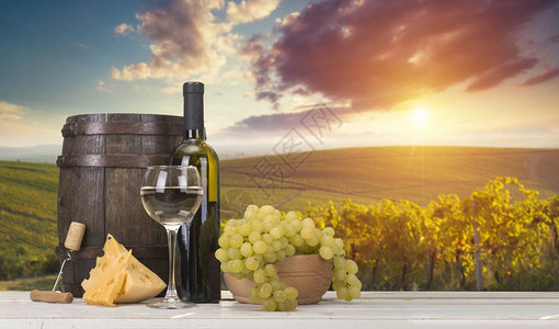意大利托斯卡纳的葡萄藤上成熟的酿酒葡萄图片