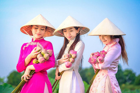 越南妇女在时采莲背景图片