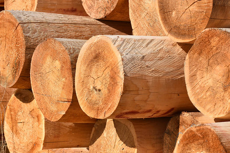 由于商业伐木业的缘故砍伐和堆叠树图片