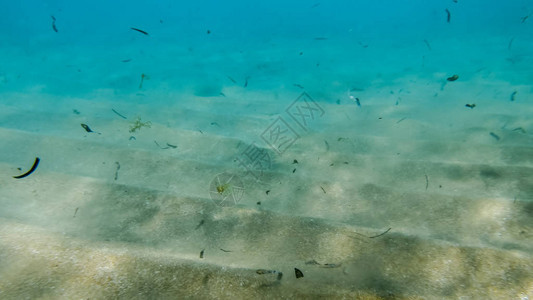 肮脏沙海底的近照片大量的死海图片