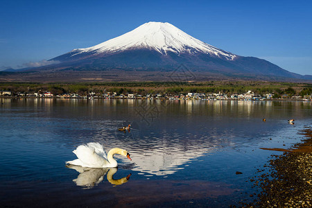 漂浮在日本山梨县富士山上图片