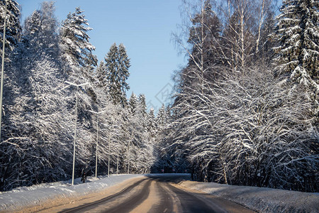 冬季道路的景象沿路的雪图片