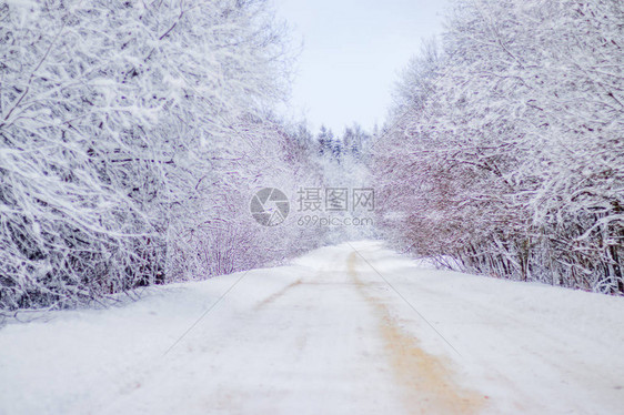 冬季道路的景象沿路的雪图片