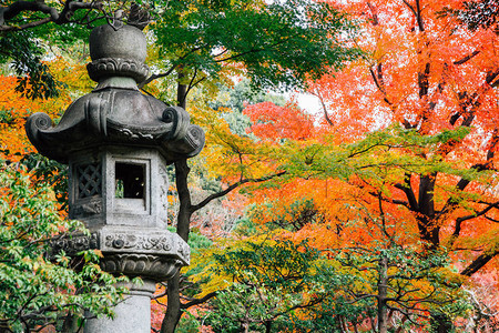 日本传统石灯秋天在日本东京的庆福川花背景图片