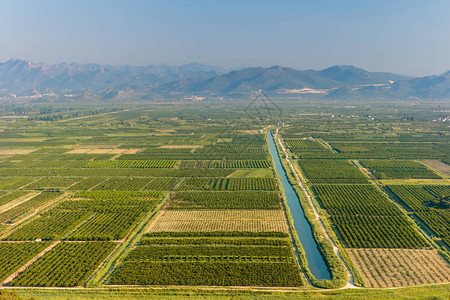 空中观赏蔬菜和水果绿植园及灌图片