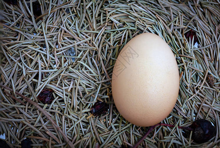 新鲜鸡蛋的照片蓝色木桌上篮子里的逼真动物蛋在一个养鸡场的村庄吃早餐时图片