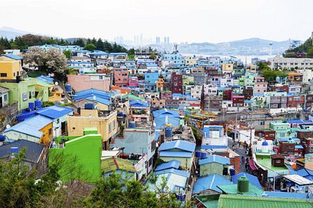 韩国釜山萨哈区滨海山坡上色彩鲜艳色彩鲜艳的甘川文化村风景秀图片