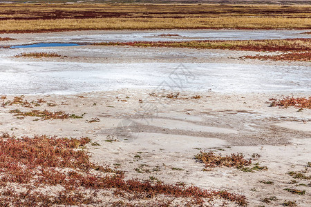 北部内蒙古的盐碱图片