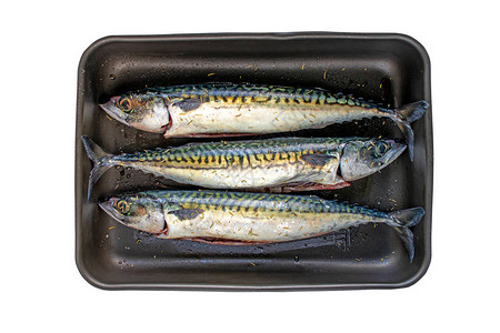 黑金属烤锅中的鱼加非棍子涂层丰图片素材