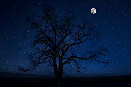 满月之夜穿过森林的山地路在夜晚与大月亮相伴的乡村图片