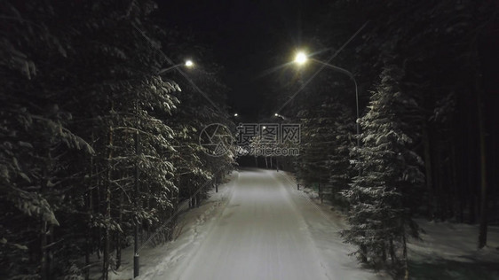 夜间在冬季松树林中寻找雪路图片