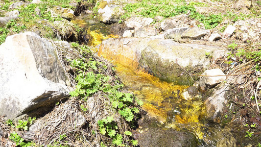 绿色植物和石头之间的森林溪流图片