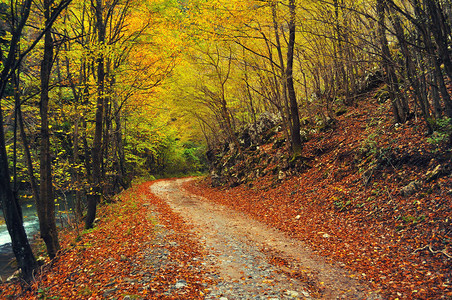 山中的初秋路图片