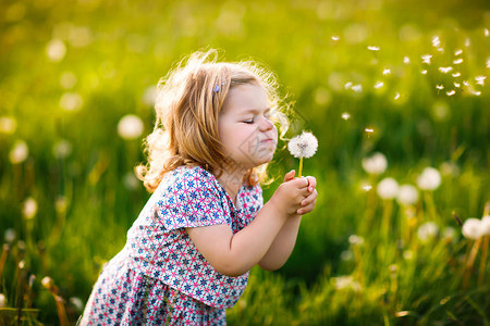 可爱的小宝贝女孩在夏天吹在大自然的蒲公英花上图片